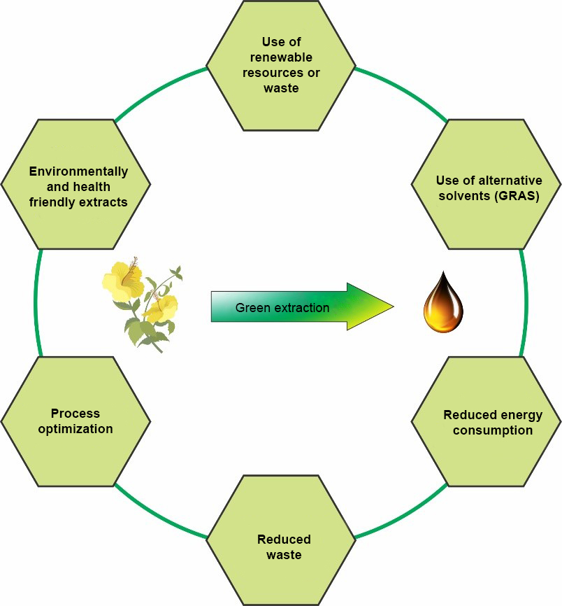 Šest načel zelene ekstrakcije